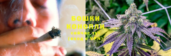 не бодяженный Дмитриев