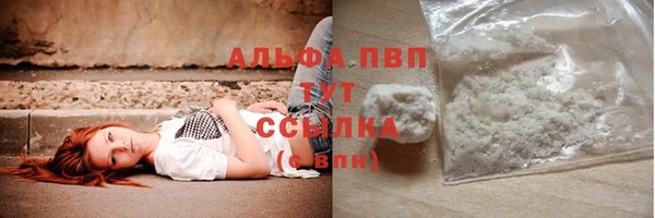 тгк Ельня