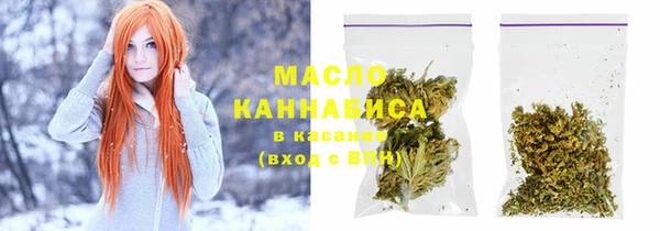 тгк Ельня