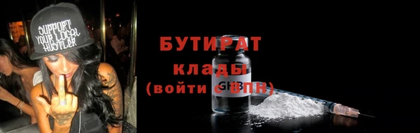 тгк Ельня