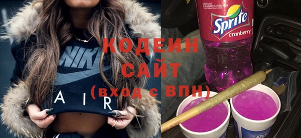 тгк Ельня