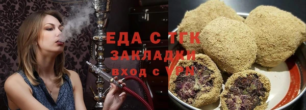 тгк Ельня