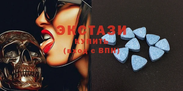 тгк Ельня