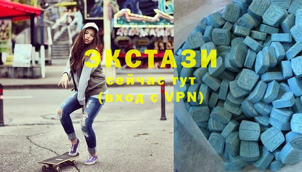 тгк Ельня