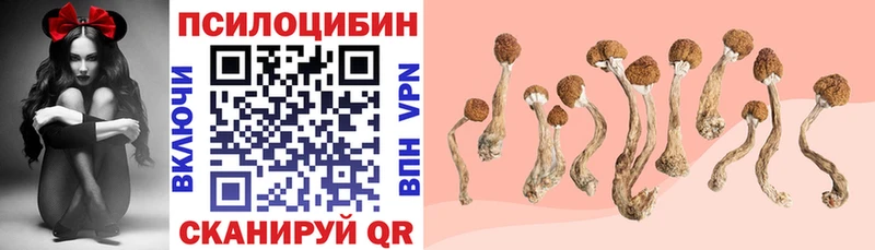 Купить закладки  Балахна  Галлюциногенные грибы ЛСД 